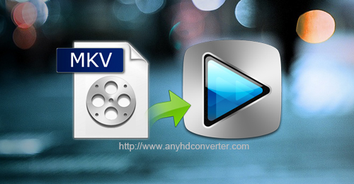Sony Vegas Pro MKV-Edit MKV in Sony Vegas Pro
