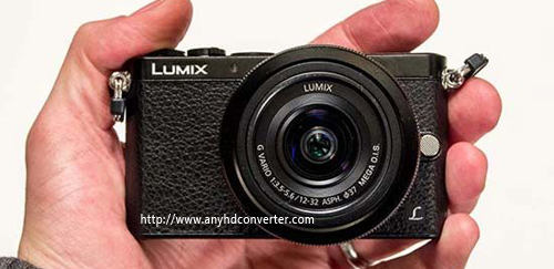 Panasonic Lumix DMC-GM1 FCP